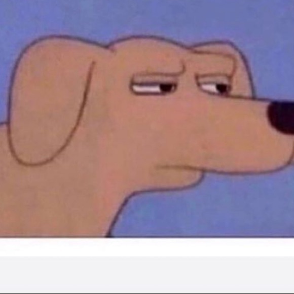 Meet your Posher, Ramiro - Picture 1 of 1